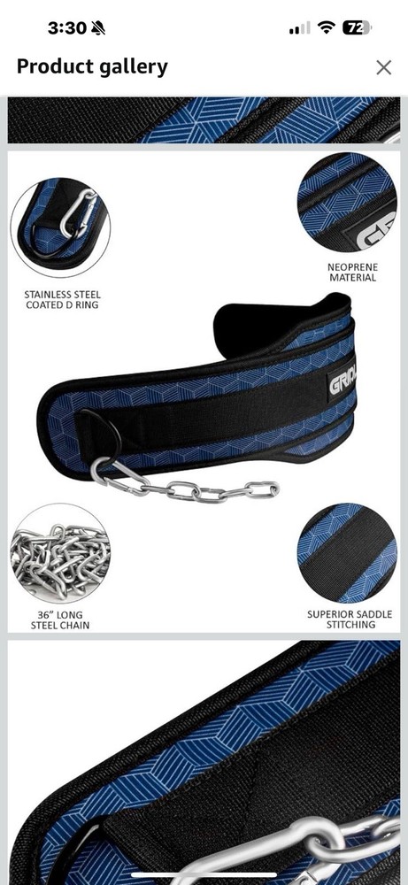 Gridlock Dip Weight Belt