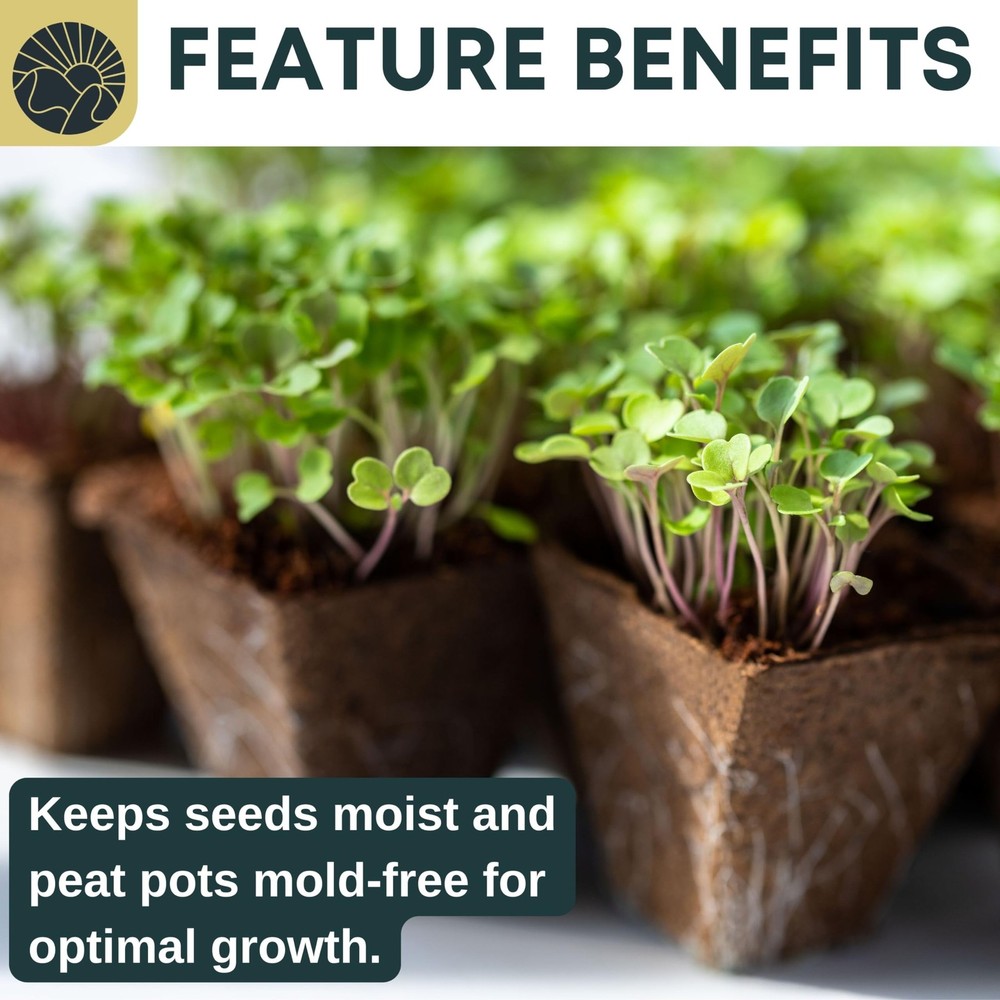 SunVara Seed Starter Peat Pots for Seedlings 300 pcs Biodegradable Seed Start...