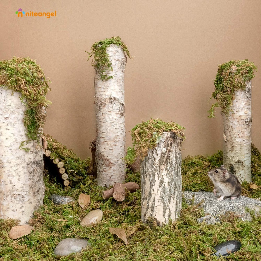 5L Forest Moss Soft Natural Moss Bedding Nesting for Dwarf Syrian Hamsters Ge...