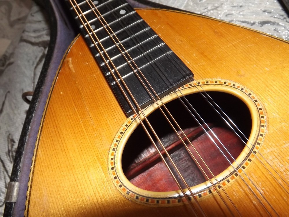 Rare Weymann Mandolute 100yrs old