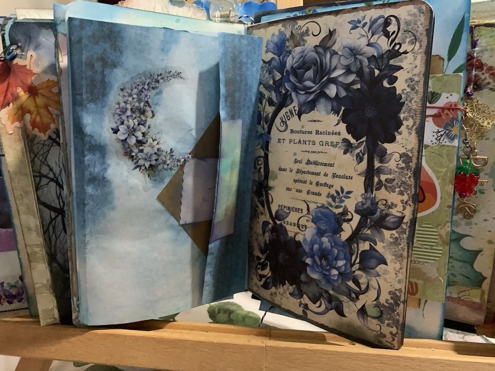 Hidden Castle Mystery Journal