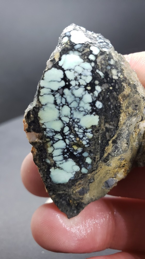 Nevada Polychrome Gecko Variscite Slab