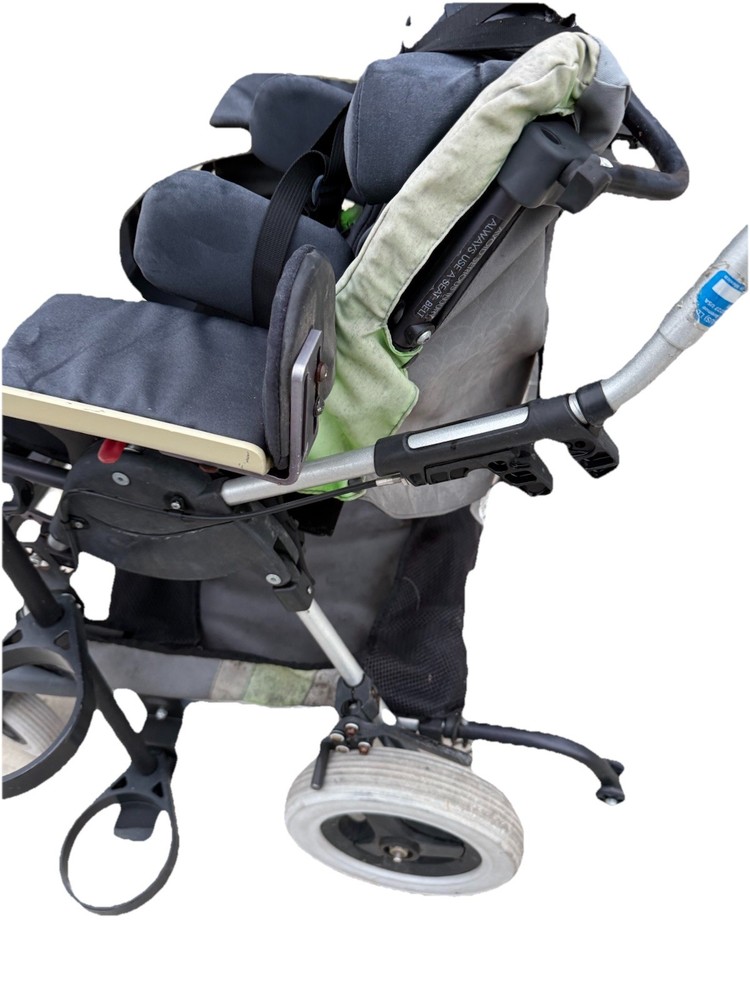 Special Needs Kid Kart Used