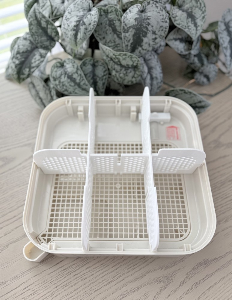 MATICOOPX INCUBATOR DIVIDER