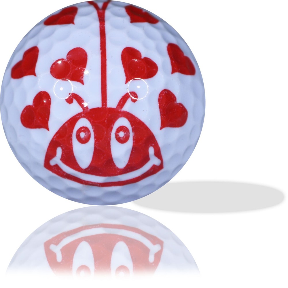 Luv Bug 12 Pack - Perfect Gift Idea!
