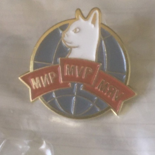 RUSSIAN SOVIET CCCP PIN Cat BADGE # myu