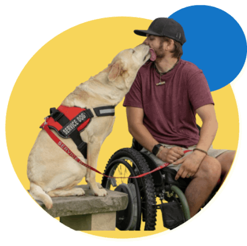 Service Dog No Pull Reflective Harness | All Sizes ADA Vest