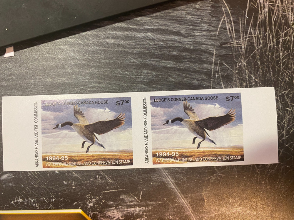 1994 Arkansas State Duck Stamp, unperforated Pair