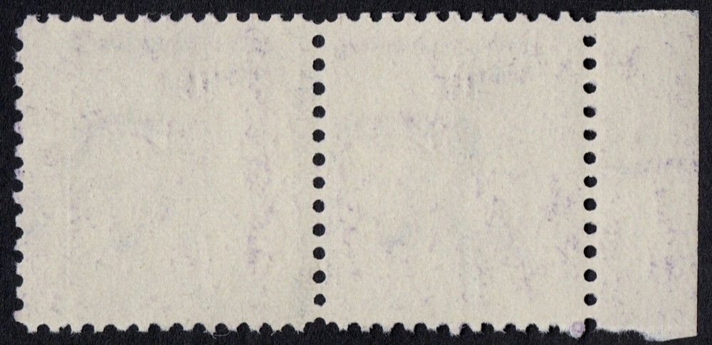 US # 1592 UNUSED NG NH { RARE "DOUBLE DESIGN" ON ISSUE } "MISPERF ERROR 10c PAIR