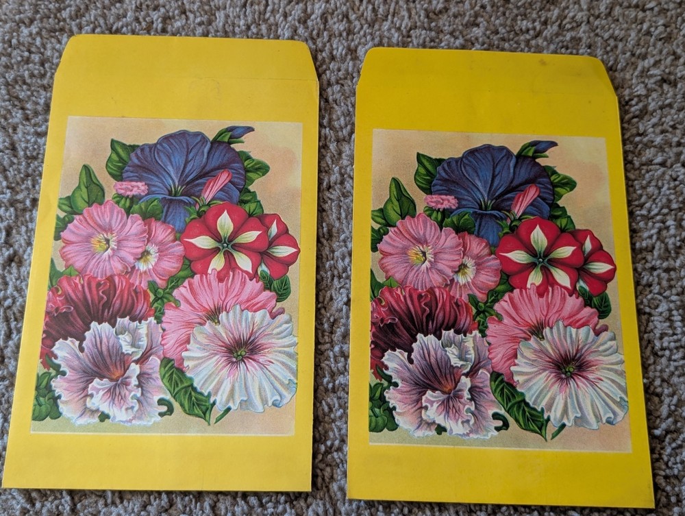 Antique W.D. Burt Dalton NY Seed Display Boxes w/ Packets 10¢ Store Set