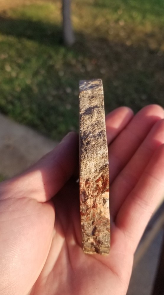 Great Red Deep Cell Agatized Dinosaur Gem Bone Polished Slab Specimen Display