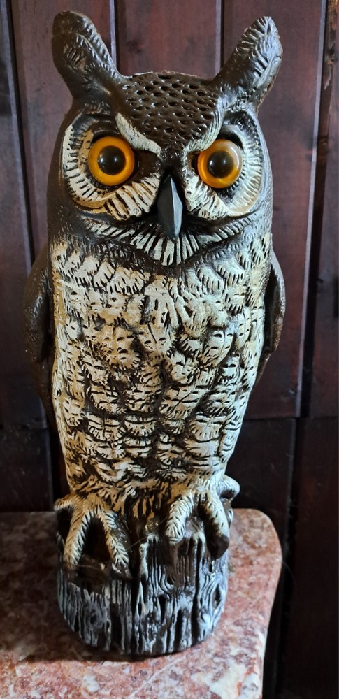 Theremin Synthesizer Drone Owl