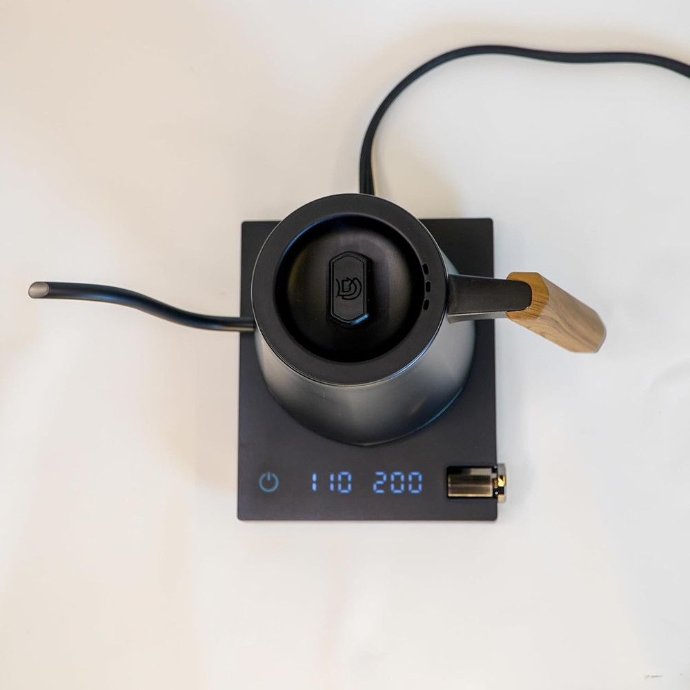 Turin Electric Gooseneck Kettle - 600ml with Temp Control & Fast Heating