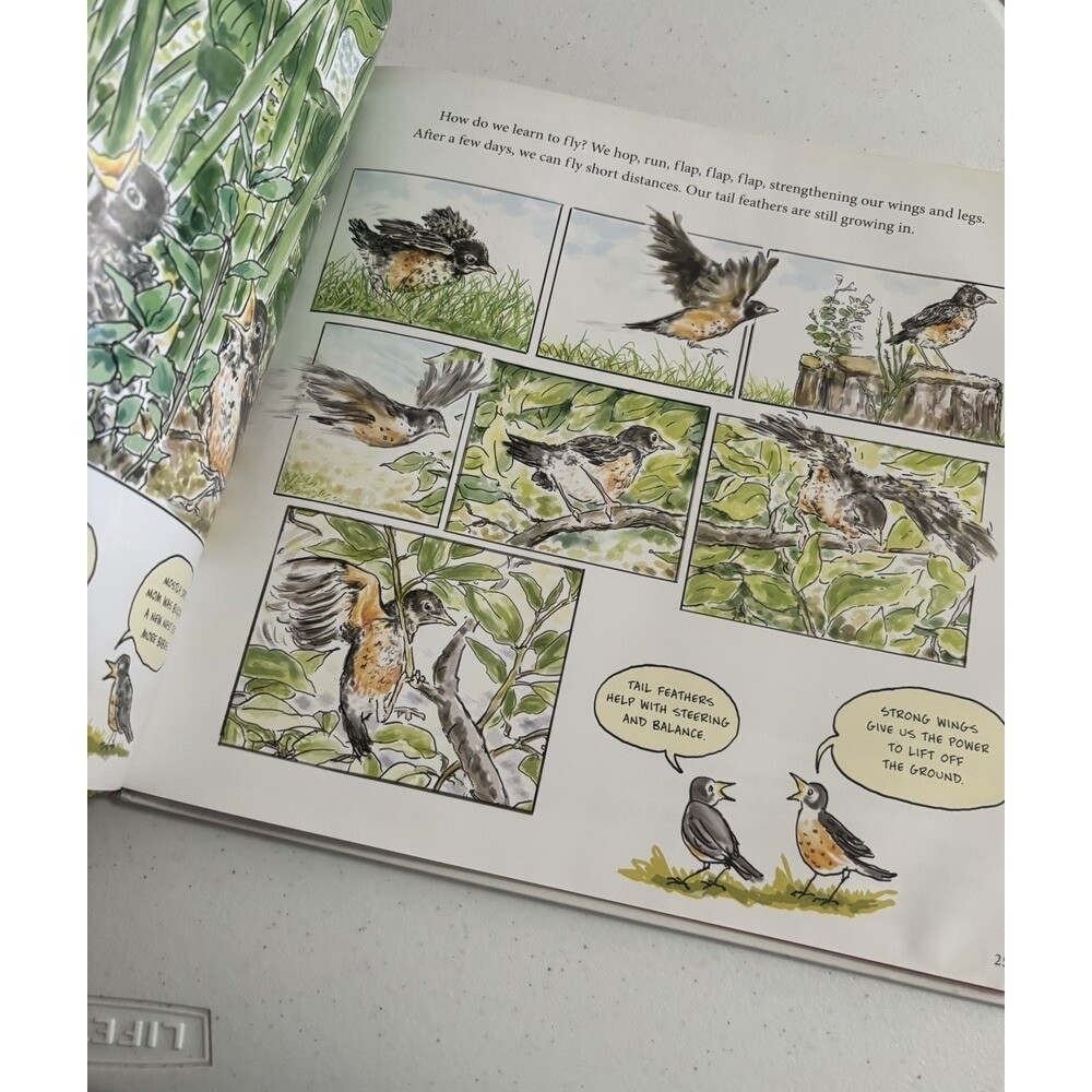 Robins How They Grow