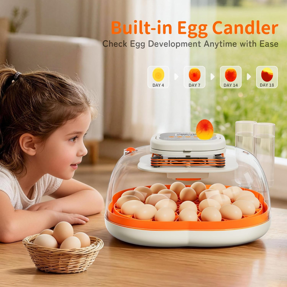 Egg Incubators for Hatching Eggs, Temperature and Humidity Control, Automatic Eg