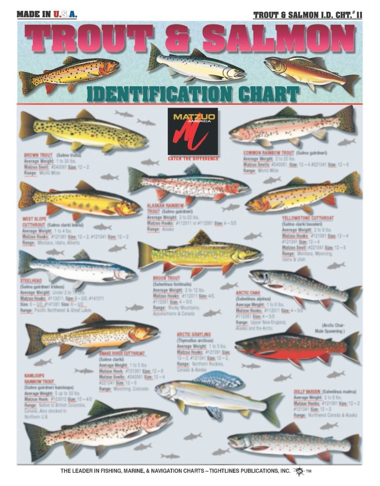 Trout and Salmon Fish Identification - Waterproof Quick Reference