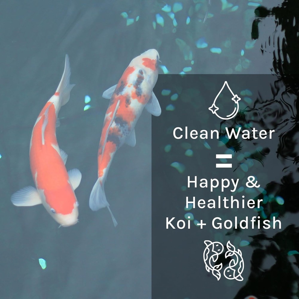 Effective Pond Maintenance Solution=