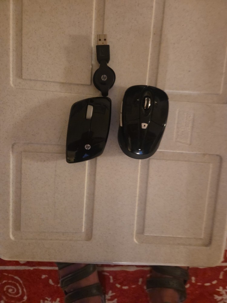 1 HP with Retractable cord mouse. 1 Gear Head mouse.