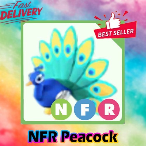 NFR Peacock *Adopt right now*
