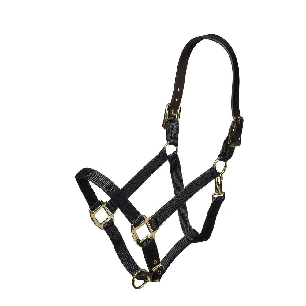Shires Nylon Halter With Leather Head Strap
