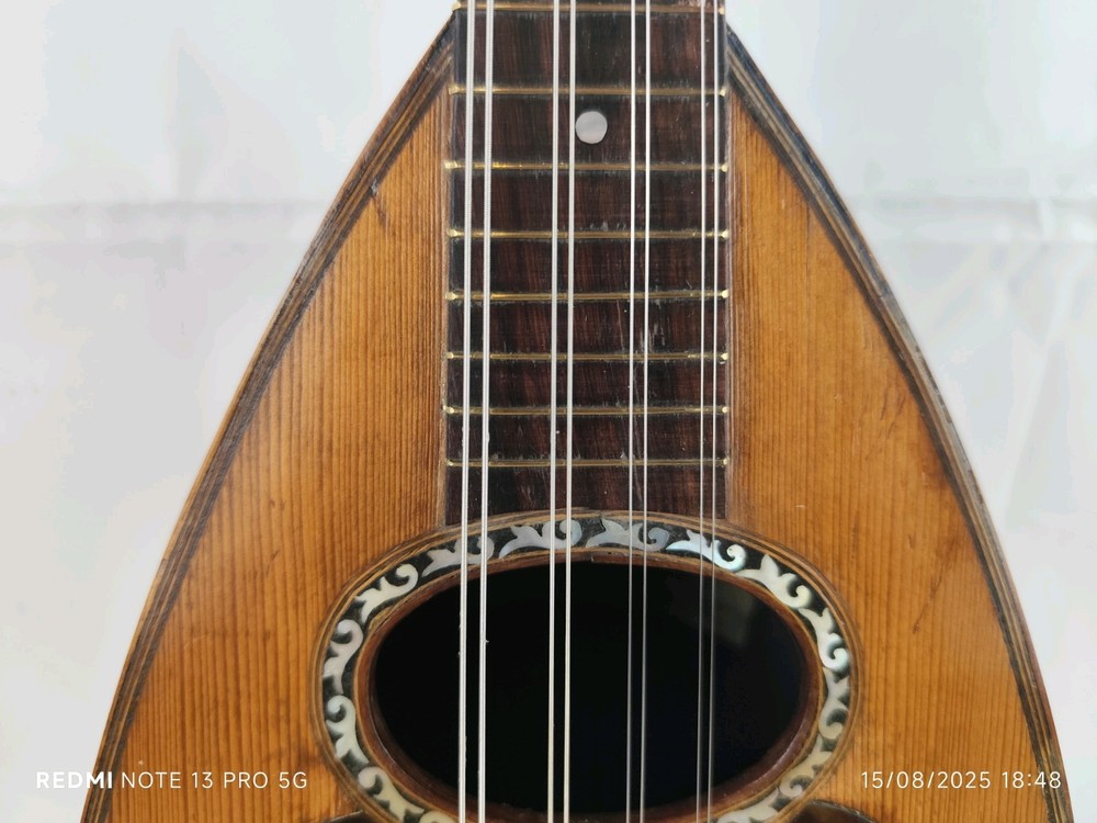 Mandolin 4/4 Giuseppe Cesolari 1905 Rome 曼陀林 만돌린マンドリン