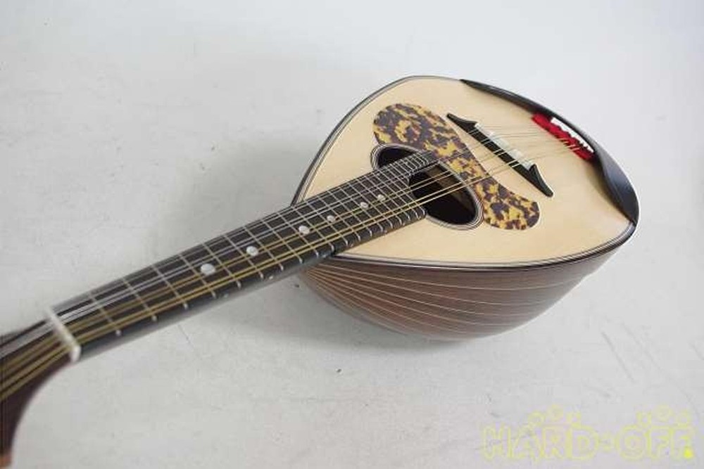 Miyano M-1 Mandolin-01