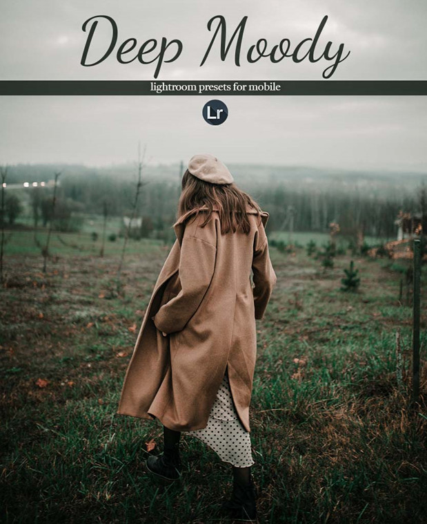 242 Best Preset Filters for Lightroom