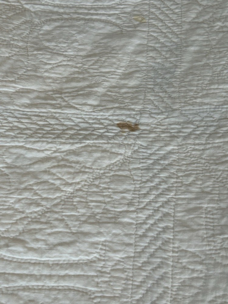 Cotton quilt with blue Hawaiian Breadfruit (Ulu) pattern