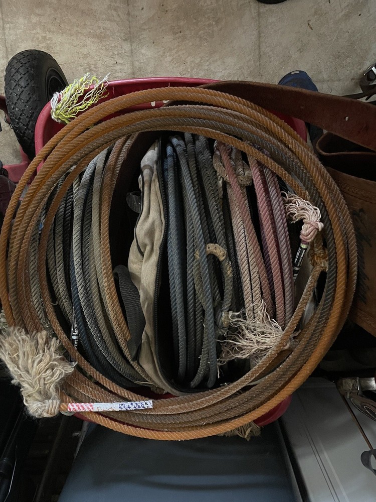 Western rodeo rope (Used)