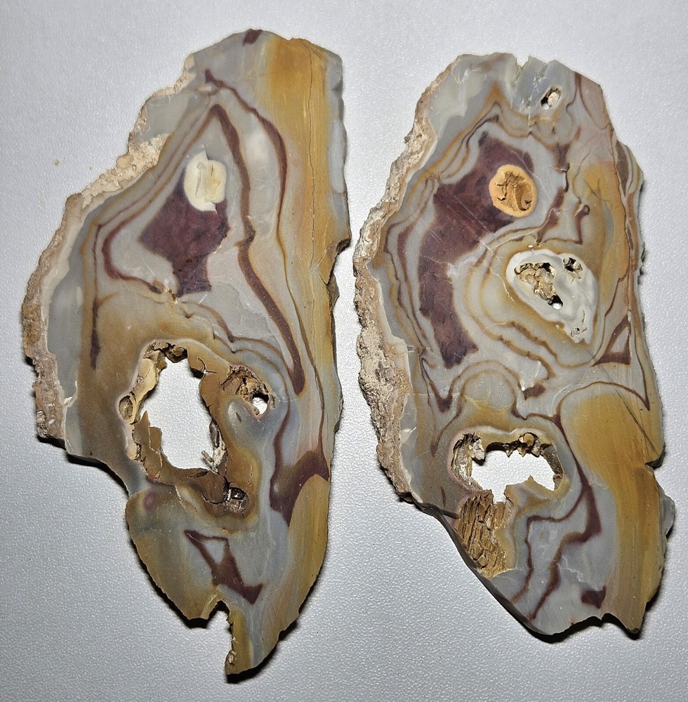 Rhyolite Two Lapidary Slabs 105 Grams