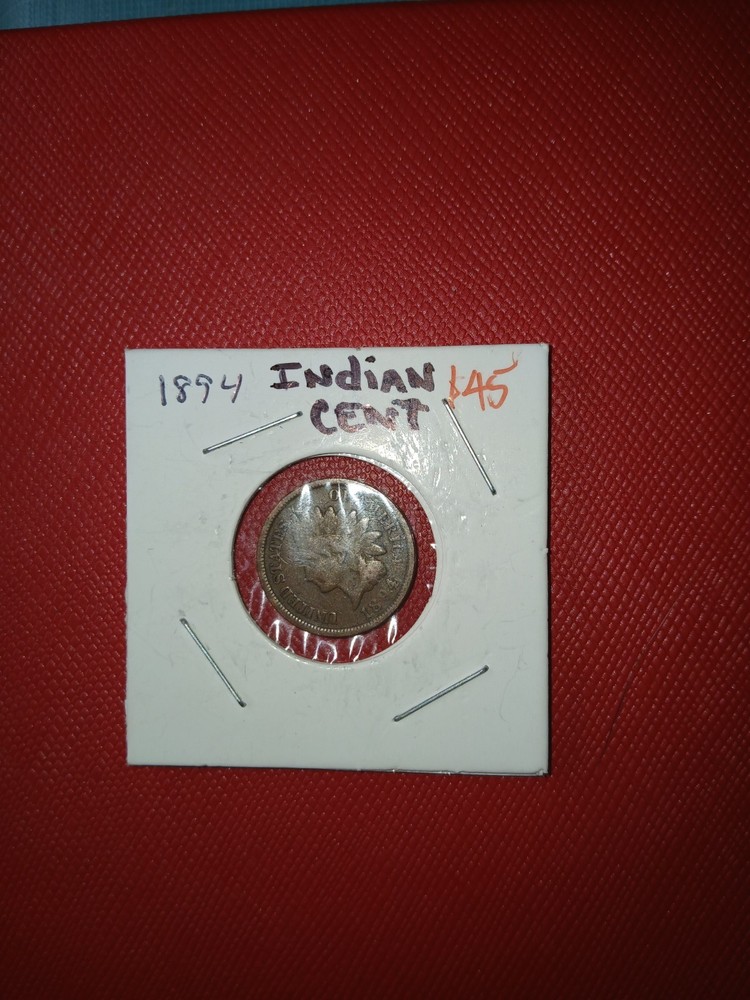1894 Indian Head 1 Cent.