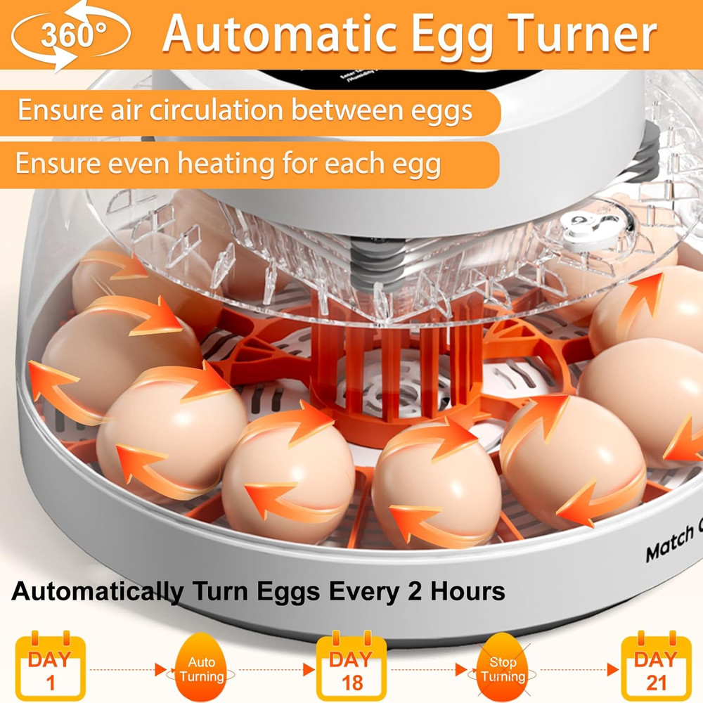 12 Egg Incubator for Hatching Eggs with Automatic Egg Turning, Temperature & Hum
