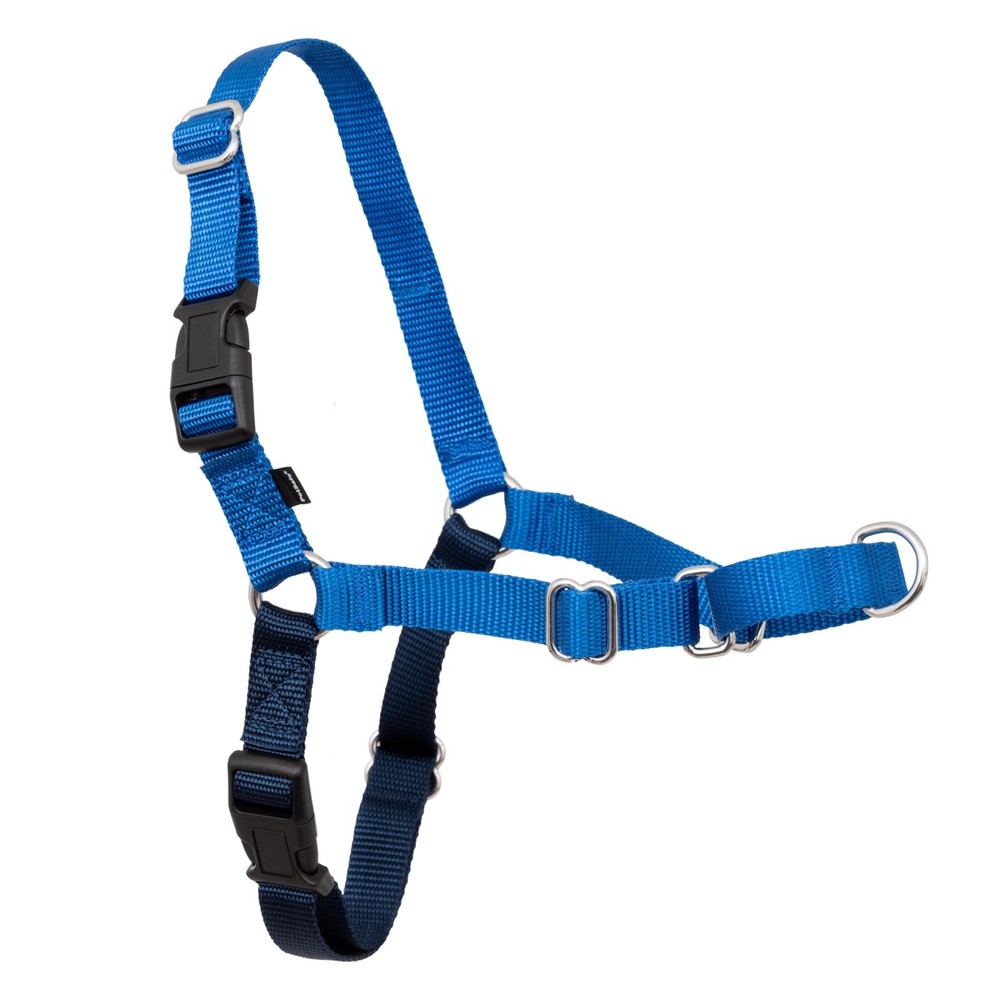 PetSafe Easy Walk Harness Medium Royal/Navy