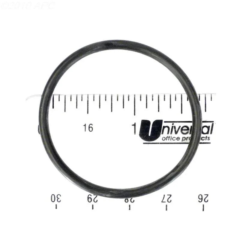 O-Ring, In-Line Filter