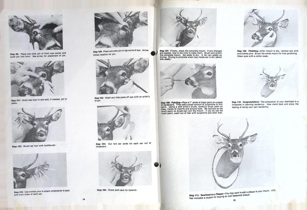 1983 Authentic Taxidermy Systems Deerhead Mounting Kit Instructions Guide
