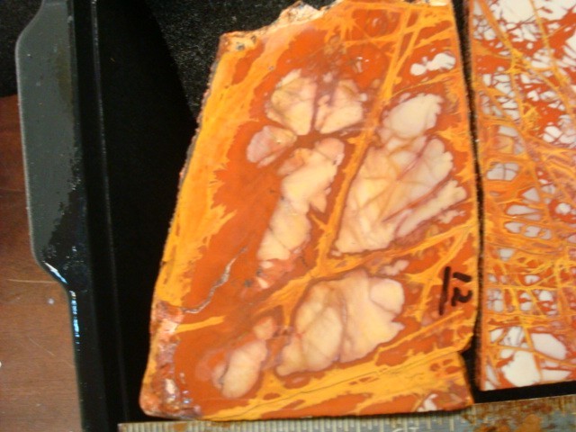 noreena jasper 4 slabs