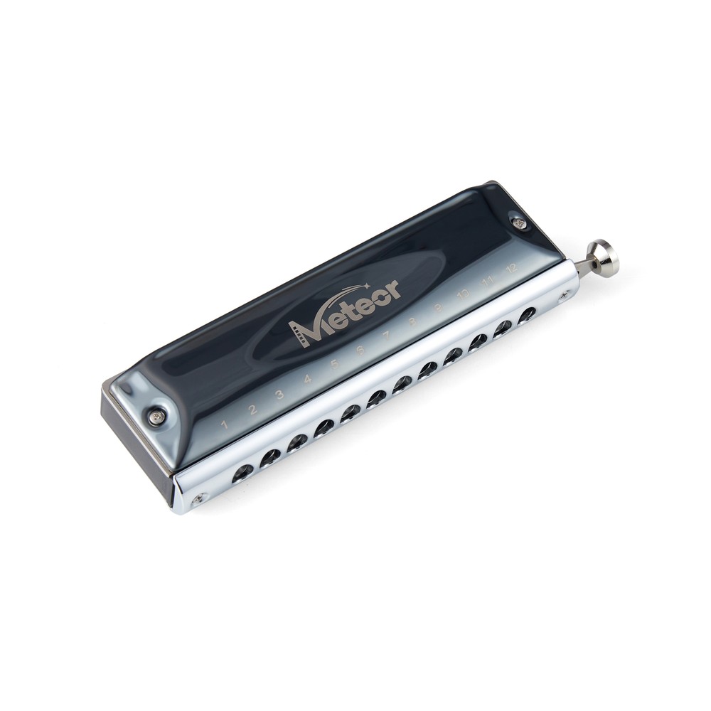 Chromatic Harmonica 12 Hole C Key Professional Harmonica with Case for Beginner