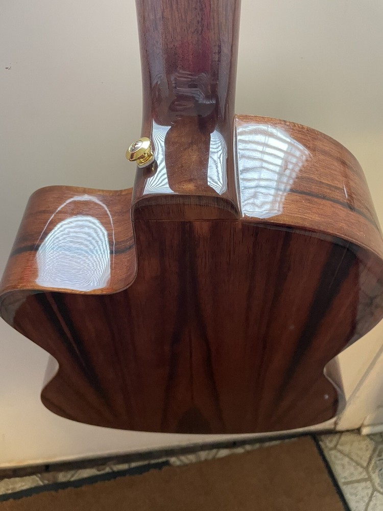 ortega striped suite c/e classical guitar