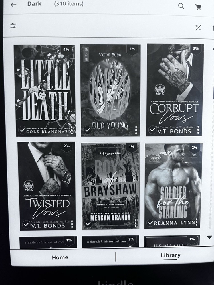 Amazon Kindle eBook Reader 32GB with books bundle