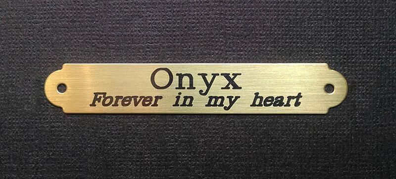 HALTER PLATE SMALL 3" x 1/2" or LARGE SADDLE PLATE SOLID BRASS CUSTOM ENGRAVED