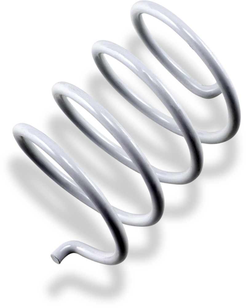 Epi Secondary Clutch Spring Acss3