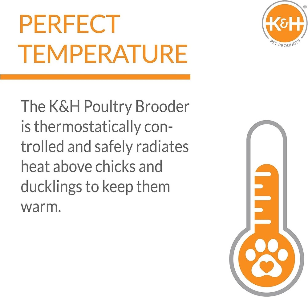 Large Chicken Brooder Heater - Adjustable Height, Safety Approved for 30 Chicks