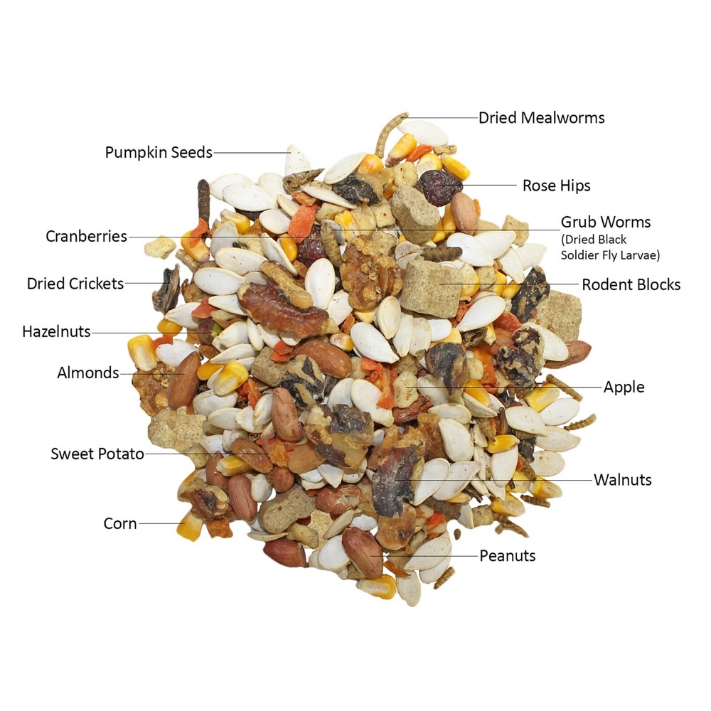 Squirrel Food Starter Package