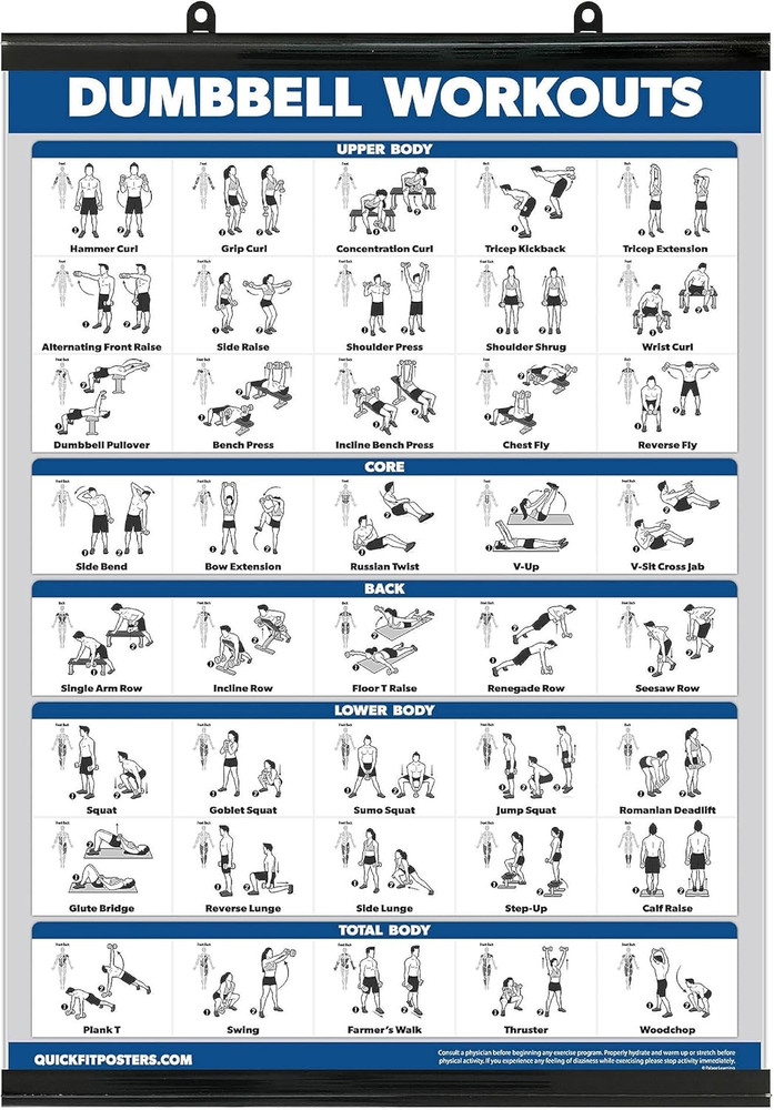 Exercise Poster for Dumbbell Training - Laminated 18" x 24"