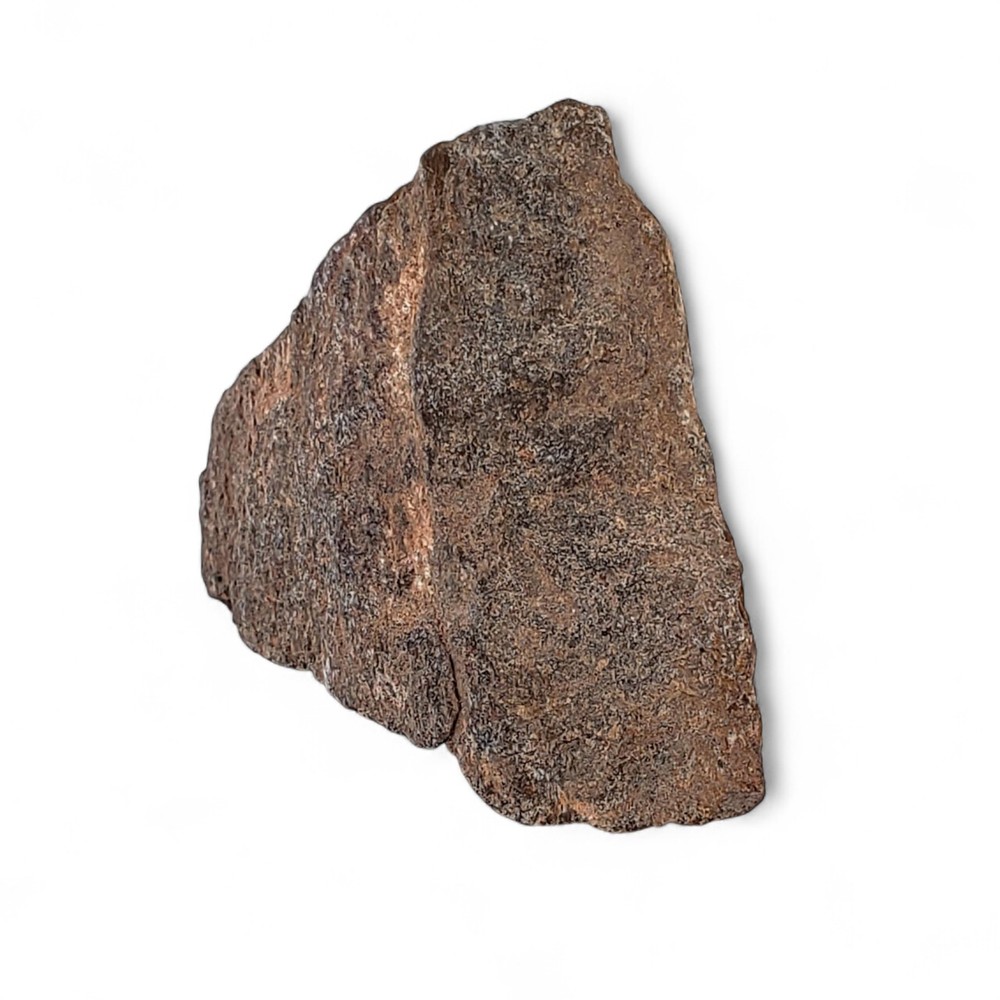 Jurassic Dinosaur Fossil Bone from Morrison Formation Includes Display