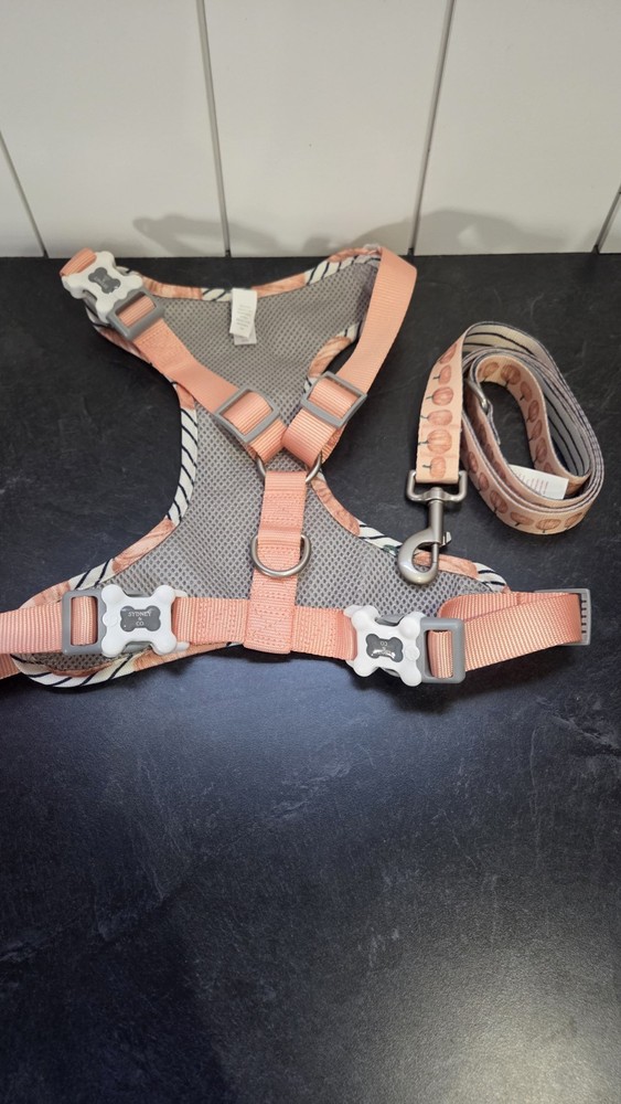 Pumpkin Pattern Adjustable Soft Dog Harness & Leash Set, Bone Buckle, Size L