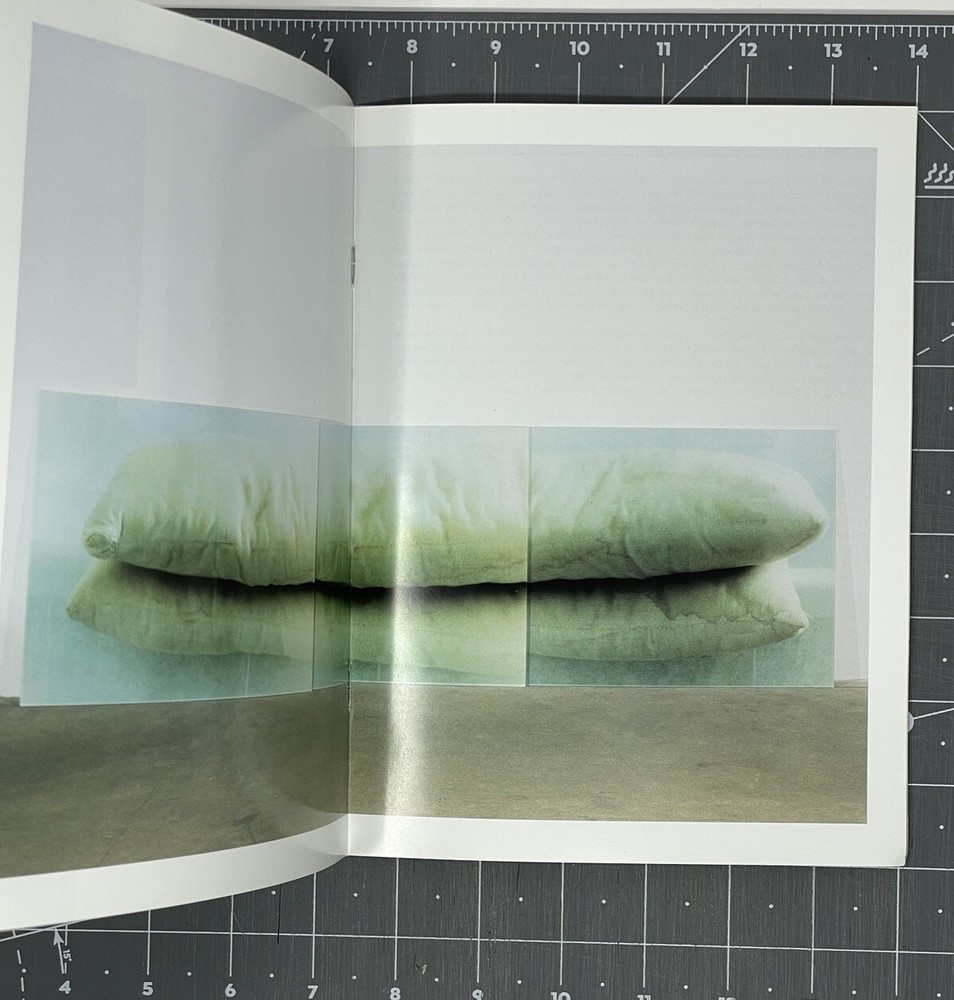 Joy Episalla: Inside/Out, September 9 - October 9, 1999