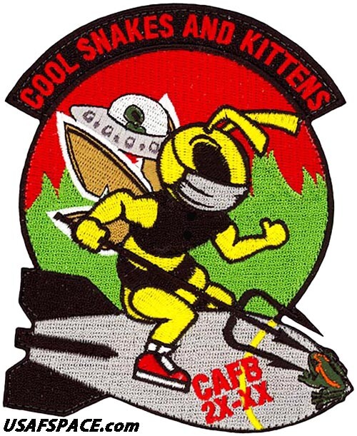 USAF SPECIALIZED PILOT TRAINING -CLASS 2020-20- COOL SNAKES AND KITTENS - PATCH