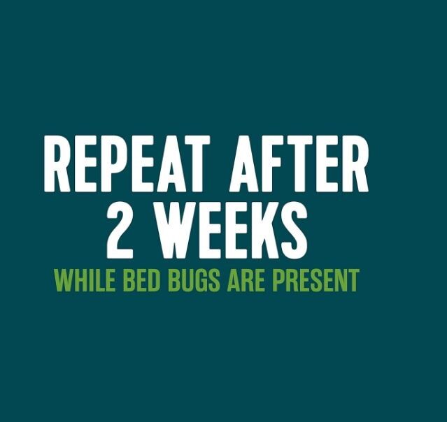 Ecologic Bed Bug Killer Aerosol Spray, 14oz, Kills Bed Bugs & Eggs, for Mattress
