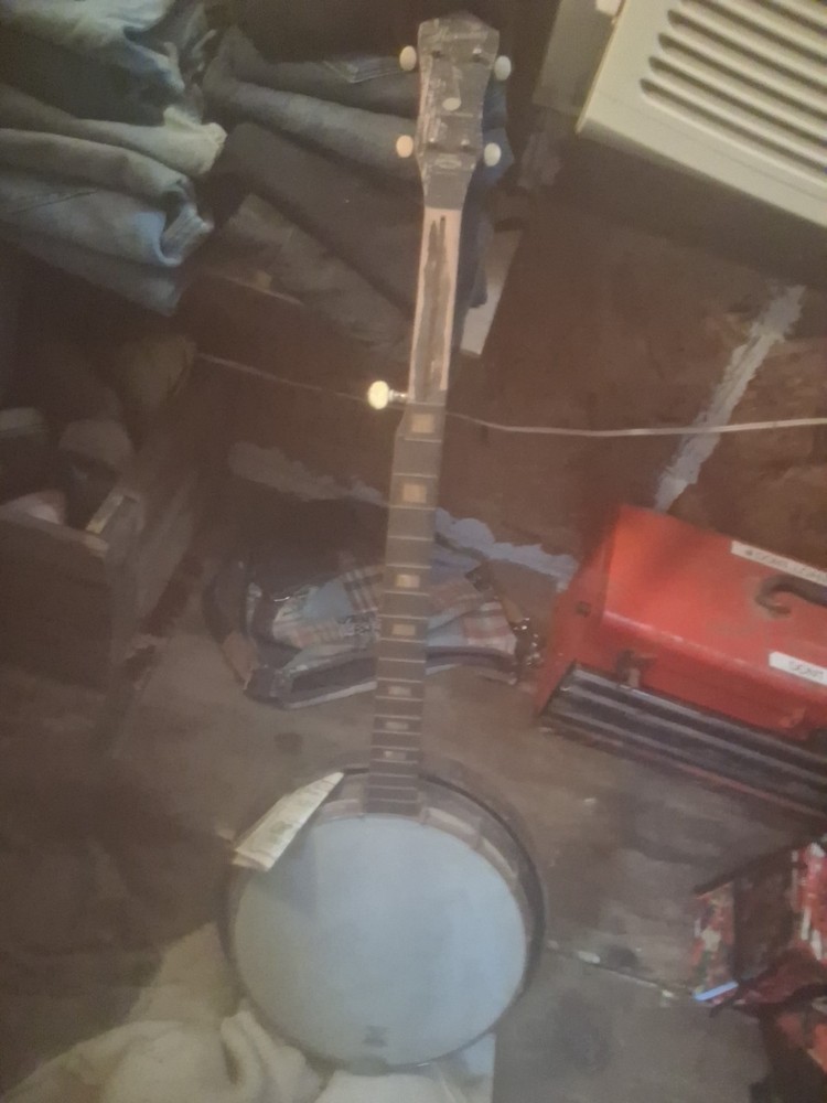 Vintage 1964 Banjo